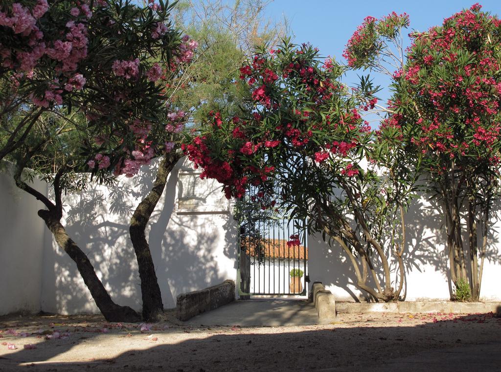 Cacharel Saintes-Maries-de-la-Mer Exterior foto