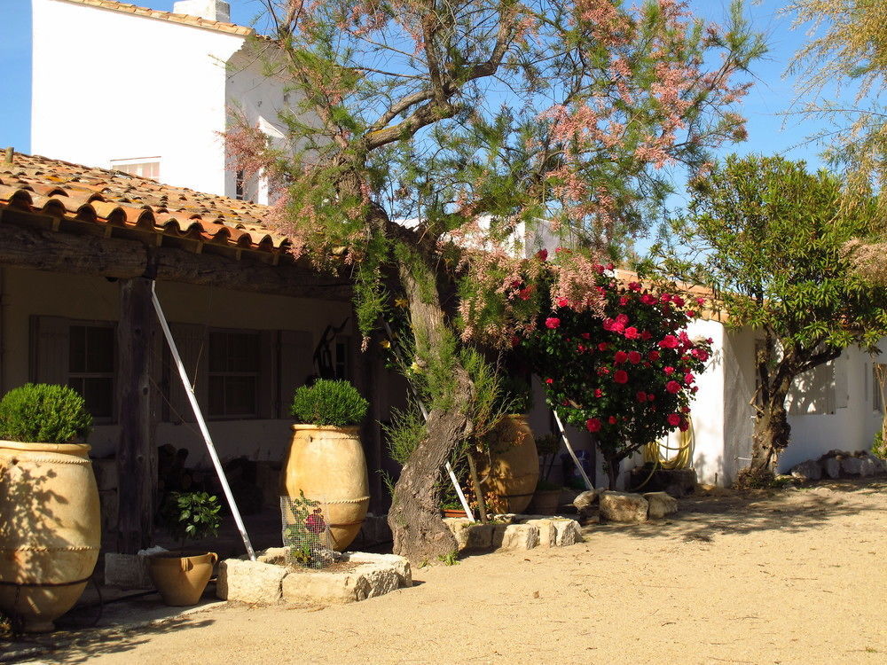 Cacharel Saintes-Maries-de-la-Mer Exterior foto